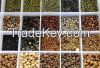 Pulses