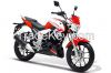 RAPTOR SERIES SK125-22