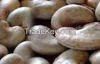 Raw Cashew Nut