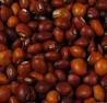 Sudanese Pigeon Peas