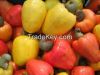 Cashew
