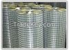 Welded Wire Mesh