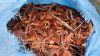 Copper wire scraps Mil...