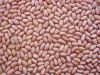 Peanut kernels Virgini...