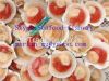 IQF half shell scallop