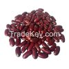 Dark red kidney bean s...