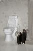 sanitary ware