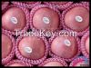 Vegetables and fruits,...