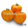 Tomato IGG 18