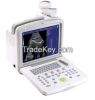 Veterinary 10 LCD scre...