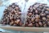 Semi dry Dates