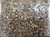 Robusta Coffee Bean for exporting