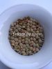 Green Lentils