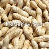Shelled Groundnuts