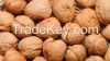 walnuts