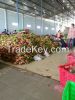 Best Quality Fresh Dragon Fruits from Vietnam