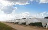 RoughBrothers Tunnel-600 Single Span low cost Agricultural tunnel greenhouse