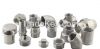 Bsp/NPT Threaded Screw...