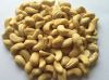 CASHEW NUT KERNEL WW24...