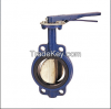 Europe type Class125 / ANSI B16.2 / Class250 Handle / Gear Cast Iron Butterfly Valve