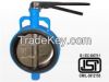 Butterfly Valve-Handle / Worm Gear Operated