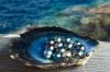 Tahitian Black Pearls ...