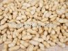 2014 Raw Peanut in She...