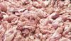 Frozen Turkey Mechanically Deboned Meat for the Processing Industry