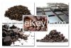 Raw Cocoa Beans