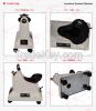 Professional garment s...