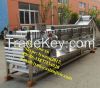 potato sorting machine 