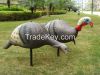 useful 3D simulation a...