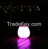 China Manufacturer Romantic 16 Colors Changing LED Mood Light