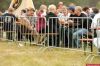 crowded control barrier