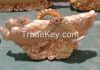 Erainlife beautiful ERRE001 Ployresin Golden fish home decoration