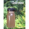 Snail Slime