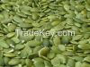 Pumpkin Seeds grow wit...