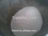 Best Price PVDF resin ...