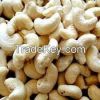 Cashew Seed
