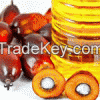 Palm Oil - Crude and R...