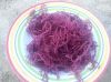 Dried RED / PURPLE Euc...