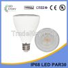 15w warm white dimmable led par 30 bulb