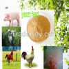 yeast feed--feed manuf...