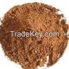 Cocoa Powder