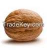 Walnut kernels and wal...