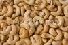 Cashew Nuts
