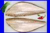 frozen sardine, frozen red mullet, baby cuttlefish