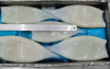 Frozen squid tubes