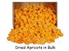 Dried Apricots in Bulk