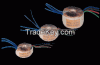 Power Transformers - M...